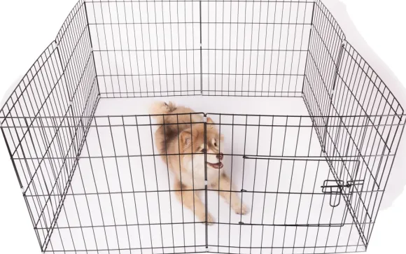 Active Canis Dog Cage pentuaitaus 112x112x61 cm