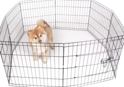 Active Canis Dog Cage pentuaitaus 112x112x61 cm