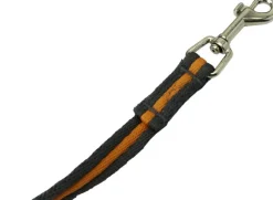 Active Canis jälkiliina, 10 m