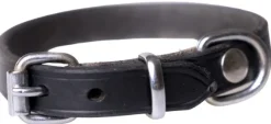 Active Canis Leather Collar koiran nahkapanta, 55 - 60 cm
