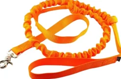 Alac Proffs joustohihna pikakiinnikkeellä, 2,5X240cm, Orange