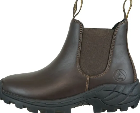 Avignon Coober Jodhpurs Läder Dark Brown