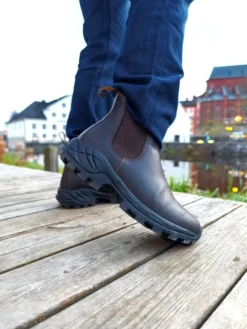 Avignon Coober Jodhpurs Läder Dark Brown