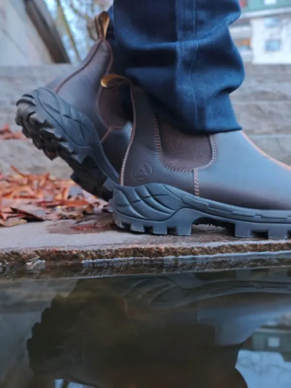 Avignon Coober Jodhpurs Läder Dark Brown