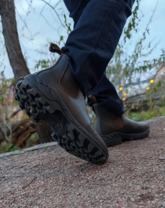 Avignon Coober Jodhpurs Läder Dark Brown