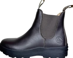 Avignon Darwin Jodhpurs Nahka Dark Brown