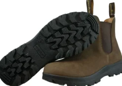 Avignon Orange Jodhpurs Nubuck Dark Brown