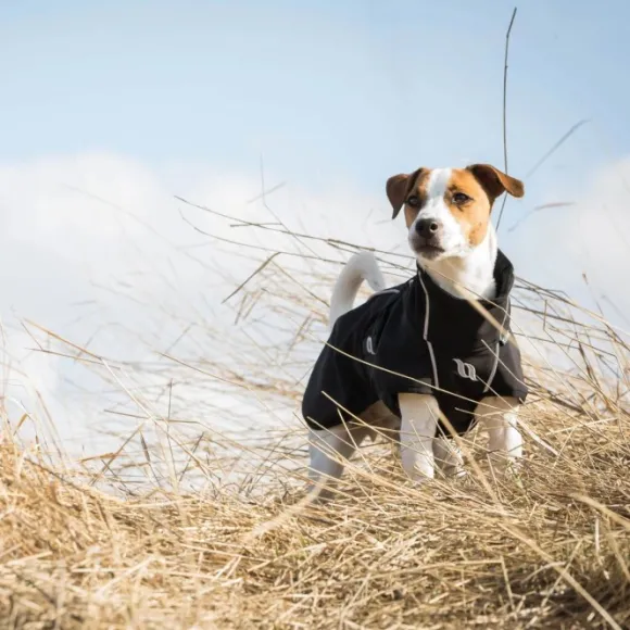 Back on Track Bark koiran takki, 55-65 cm, Black