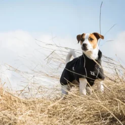 Back on Track Bark koiran takki, 25-35 cm, Black