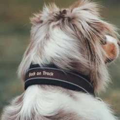 Back on Track Charlie kaulapanta, ruskea 30-35 cm