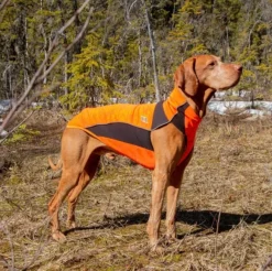 Back on Track Eddie koiran fleecepaita, oranssi 60-70 cm