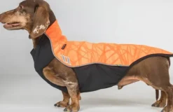 Back on Track Eddie koiran fleecepaita, oranssi 40 cm