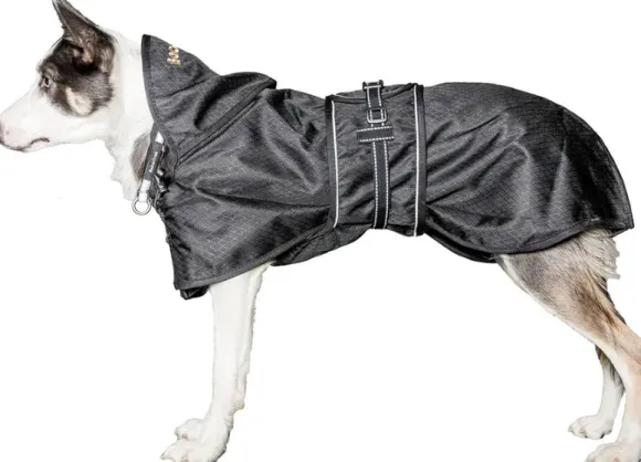 Back on Track koiran jokasääntakki, musta 27-40 cm