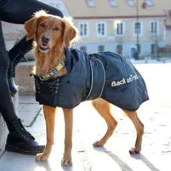 Back on Track koiran toppatakki, musta 63-82 cm