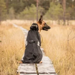 Back on Track koiran verkkotakki, musta 43-59 cm