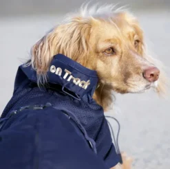 Back on Track koiran verkkotakki, sininen 63-82 cm