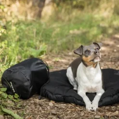 Back on Track ovaali koiran matkapeti, musta 50 x 60 cm