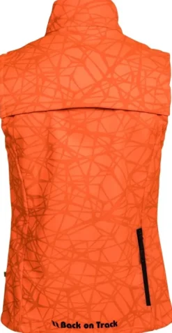 Back on Track Ray High Visibility Vest liivi, Orange