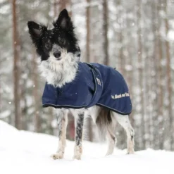 Back on Track Sunny koiran takki, sininen 40-50 cm