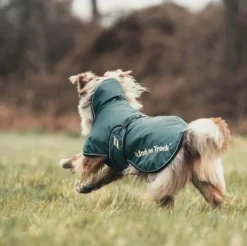 Back on Track Sunny koiran takki, Back on Track Sunny koiran takki, vihreä 55-65 cm