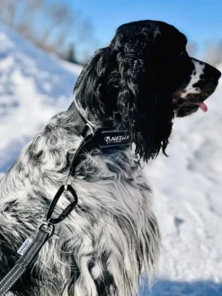 Baggen Koppel Twistlock talutushihna, 2,4m, harmaa