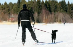 Baggen Softbelt Reflex Gul juoksuvyö heijastimella