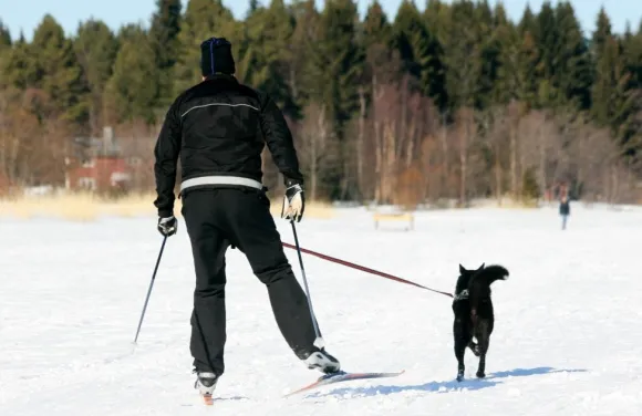 Baggen Softbelt Reflex Gul juoksuvyö heijastimella