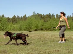 Baggen Softbelt Reflex Gul juoksuvyö heijastimella