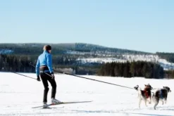 Baggen vetotalutin, musta