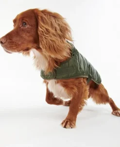 Barbour Baffle koiran tikkitakki, oliivinvihreä