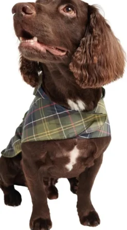 Barbour Packable Dog Coat koiran sadetakki, Classic Tartan