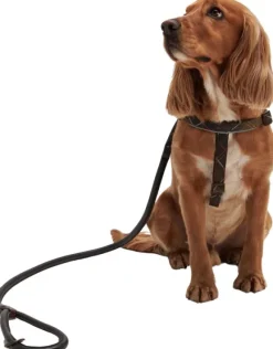 Barbour Snap Lead koiran talutushihna, Dark Brown