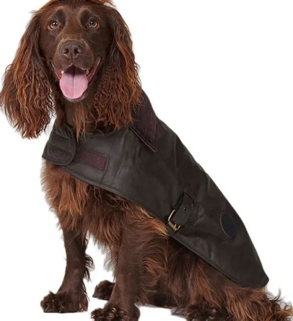 Barbour Wax Dog Coat Olive