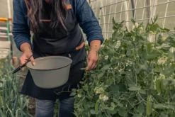 Barebones grilliessu, musta