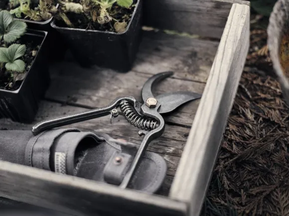 Barebones Pruner oksasakset kotelolla