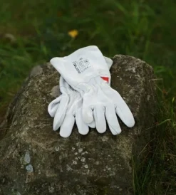 Bast Sauna Björk Delux Bastutält & Kamin 8-10 p