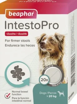 Beaphar IntestoPro tabletit ruoansulatusongelmiin >20kg, 20 kpl