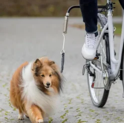 Biker Set -pyöräilytalutin