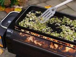 BioLite Firepit Griddle