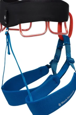 Black Diamond Momentum Harness Kingfisher kiipeilyvaljaat
