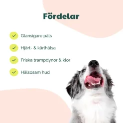 Buddy Care Salmon Oil lohiöljy, 500ml