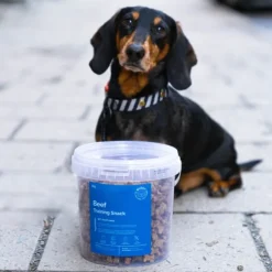 Buddy Beef Training Snackn koiran makupalat, 1 kg