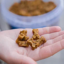 Buddy Beef Training Snackn koiran makupalat, 1 kg