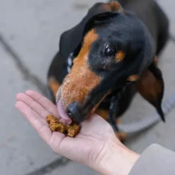 Buddy Beef Training Snackn koiran makupalat, 1 kg