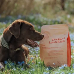 Buddy Chicken & Lamb Feast kuivaruoka, näytepussi, 100 g