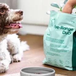 Buddy Free-Range Duck kuivaruoka, 2 kg