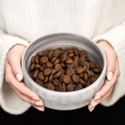 Buddy Grass-Fed Lamb kuivaruoka, 5 kg