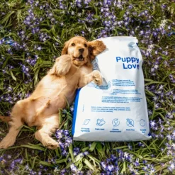 Buddy Puppy Love pentujen kuivaruoka, 5 kg