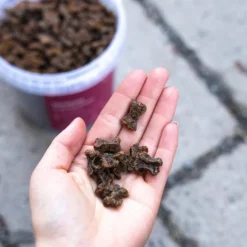 Buddy Venison Training Snack makupala, 1 kg