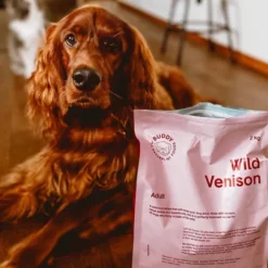Buddy Wild Venison koiranruoka, 2 kg